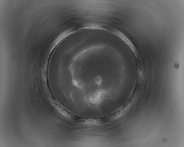 X0000100331002200806051530