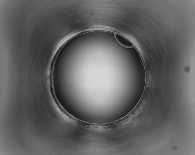 X0000100331003200806051530