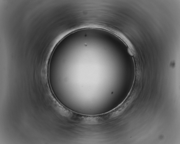 X0000100331004200806051530