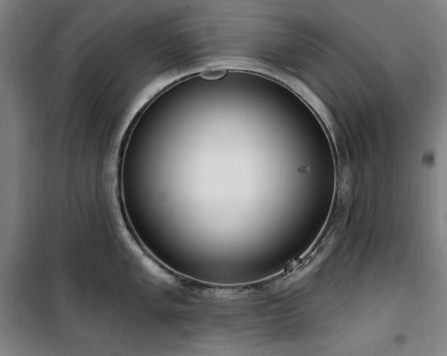 X0000100331005200806051530