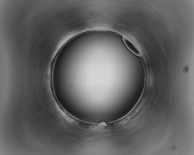 X0000100331006200806051530