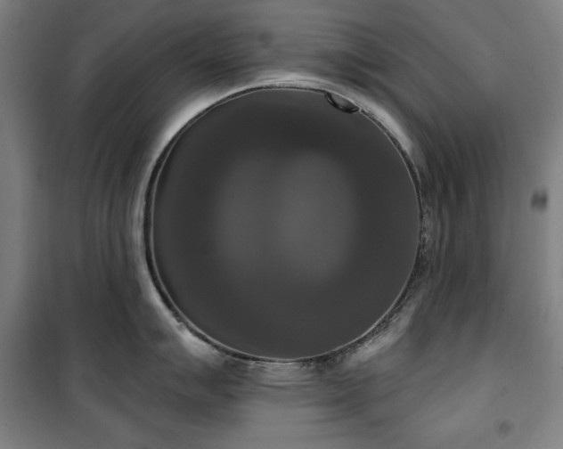 X0000100331007200806051530