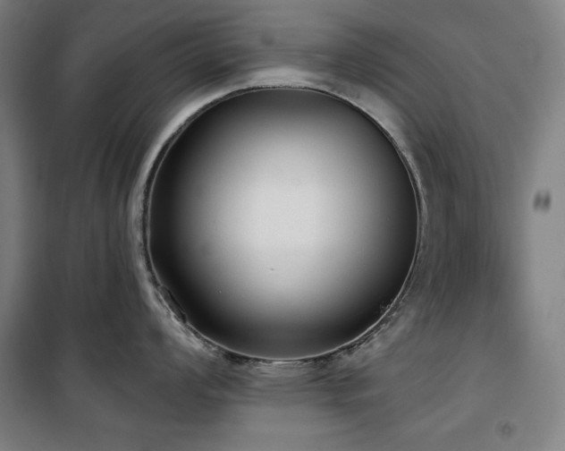 X0000100331008200806051530