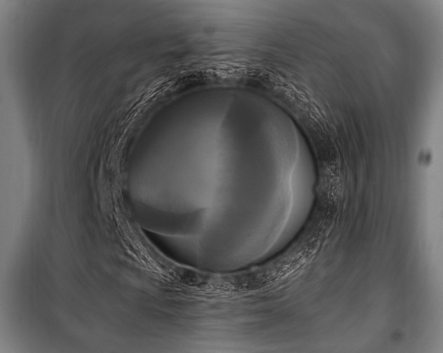 X0000100331009200806051529