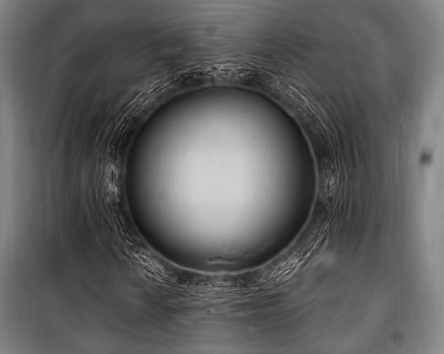 X0000100331010200806051529