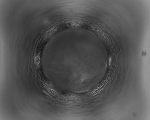 X0000100331011200806051529