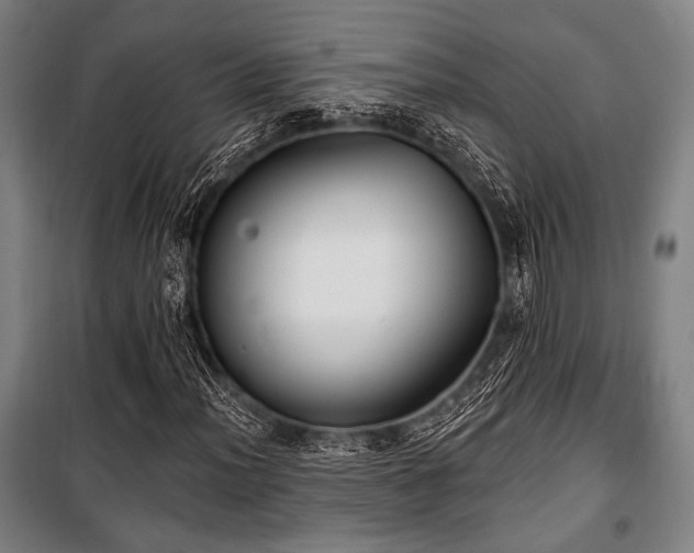 X0000100331012200806051529
