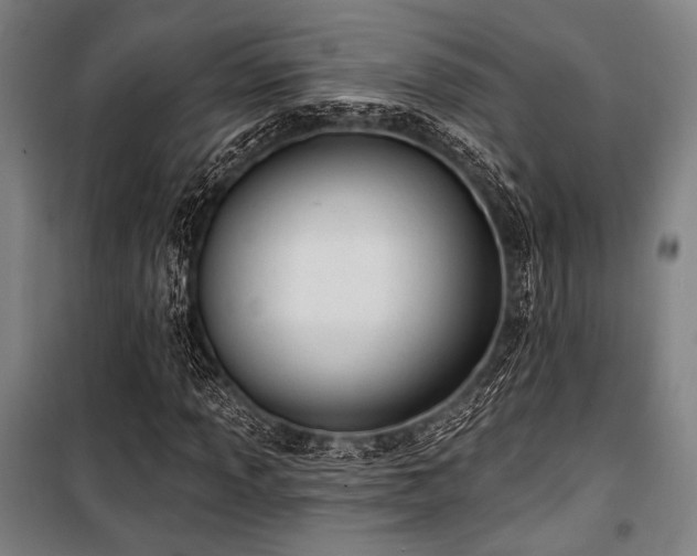 X0000100331013200806051529