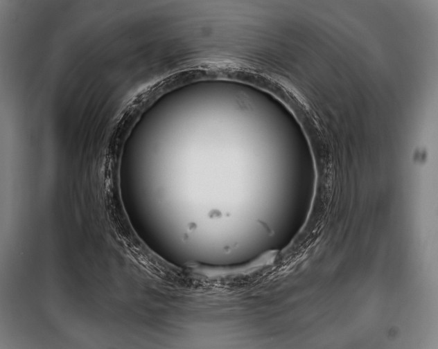 X0000100331016200806051529