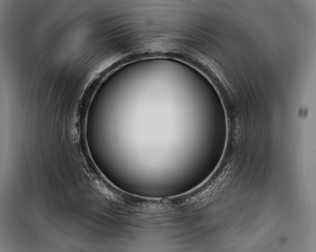 X0000100331018200806051529