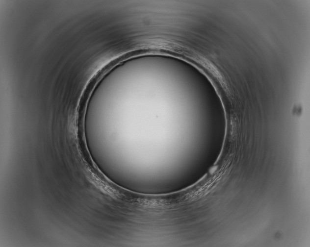 X0000100331020200806051529