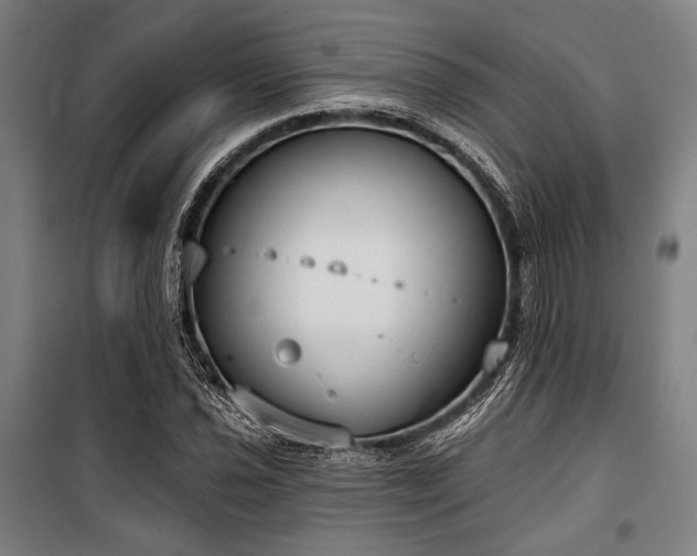 X0000100331021200806051529