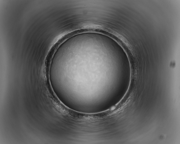 X0000100331022200806051529