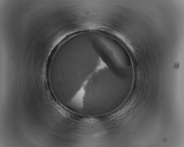 X0000100331023200806051529