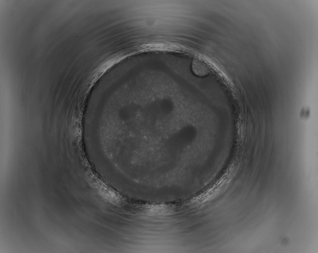 X0000100331025200806051529