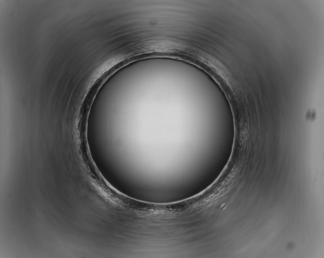 X0000100331026200806051529