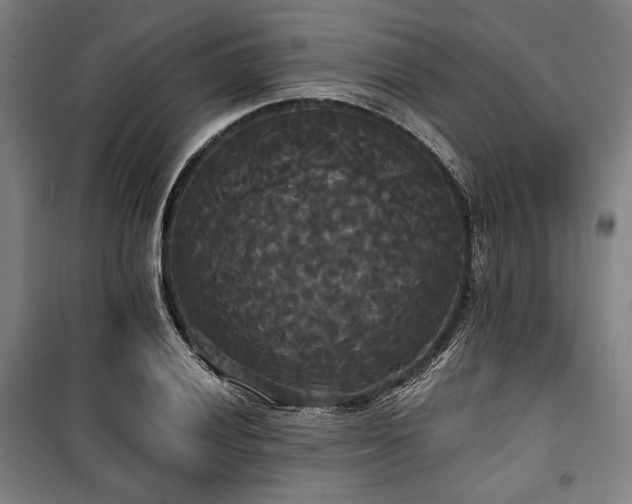 X0000100331028200806051529