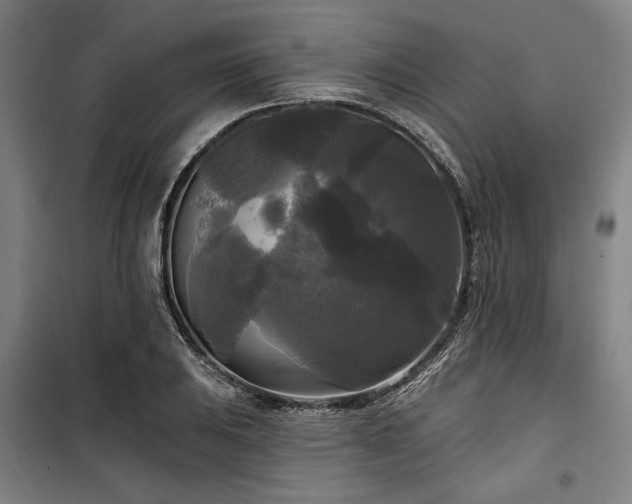 X0000100331031200806051529