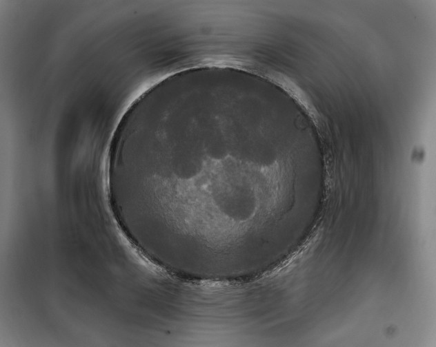 X0000100331032200806051529