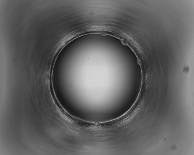 X0000100331033200806051529