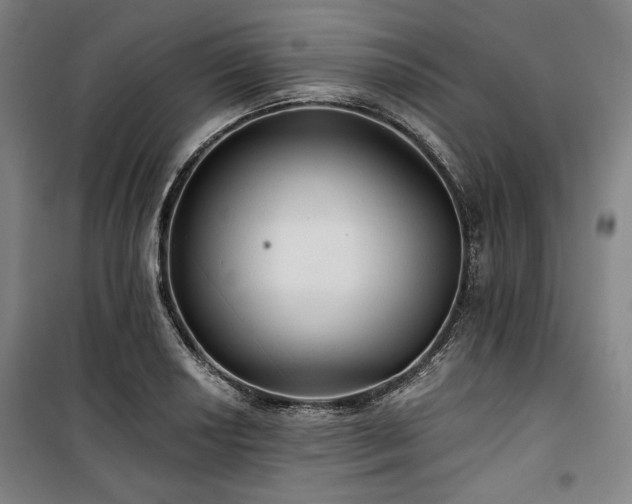 X0000100331034200806051529