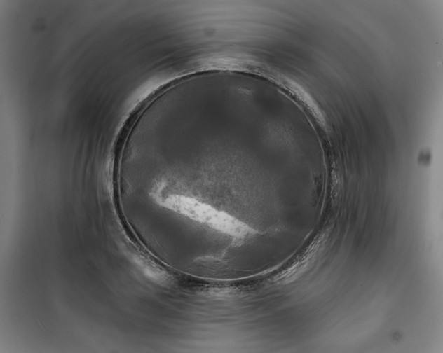 X0000100331035200806051529