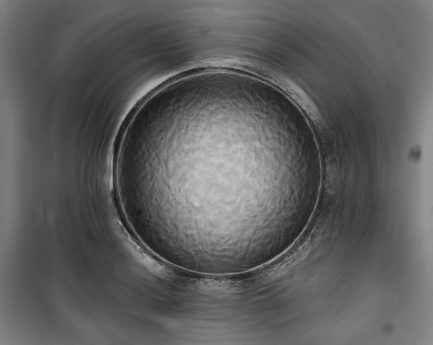 X0000100331036200806051529
