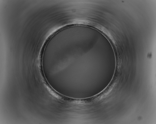 X0000100331037200806051529