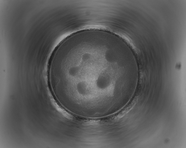 X0000100331038200806051529