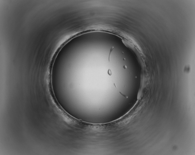 X0000100331040200806051529