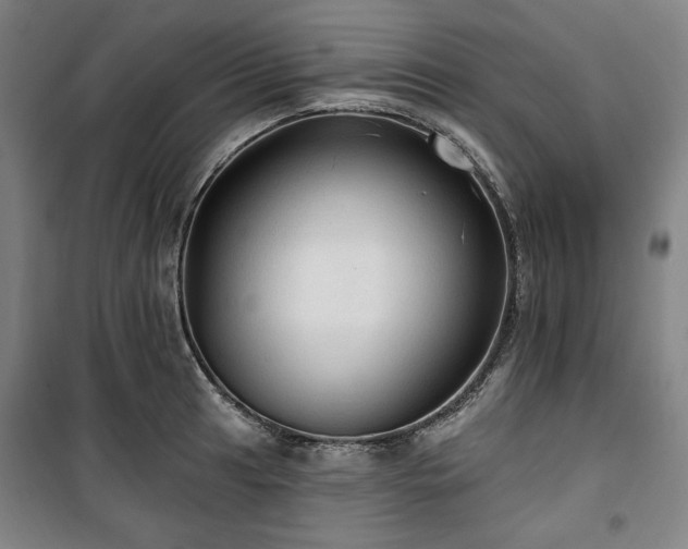X0000100331041200806051529