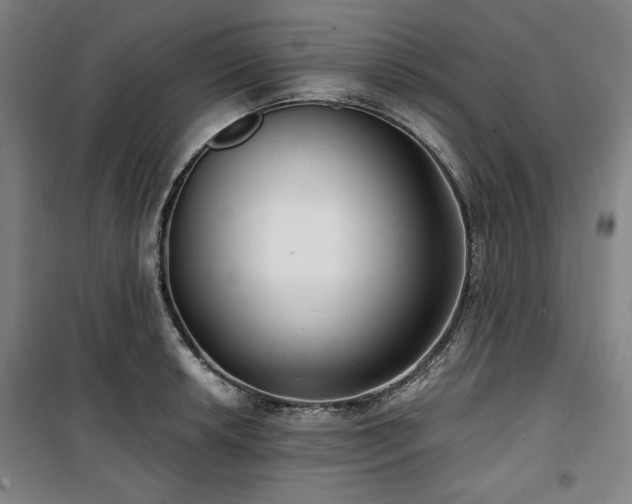 X0000100331042200806051529