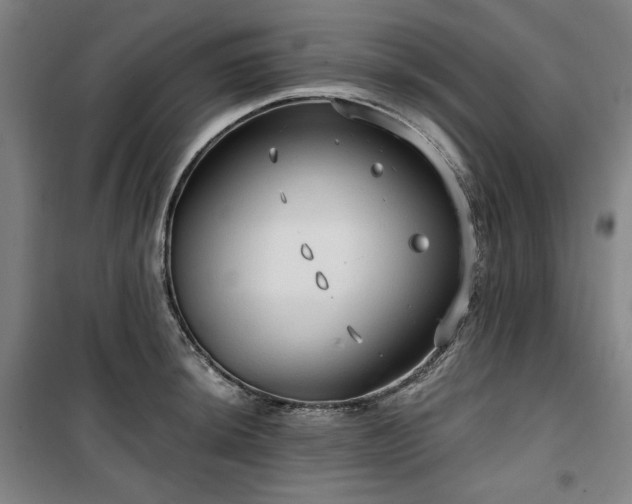 X0000100331044200806051529
