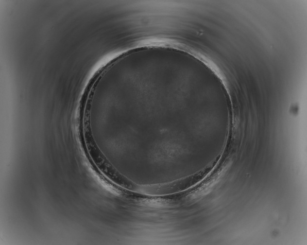 X0000100331045200806051529