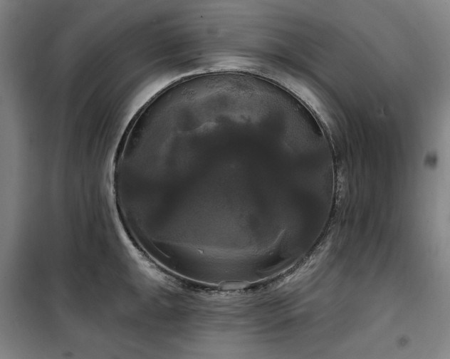 X0000100331047200806051529