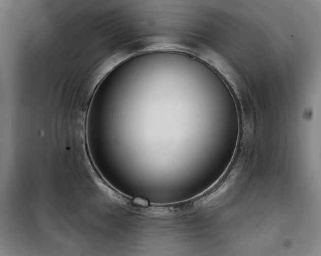 X0000100331049200806051529