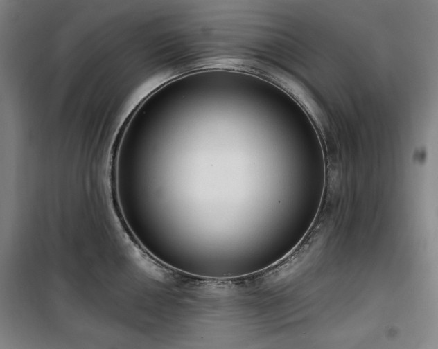 X0000100331050200806051529