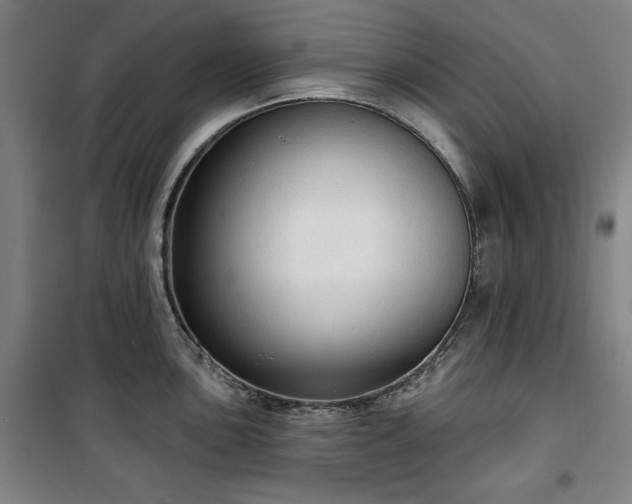 X0000100331051200806051529
