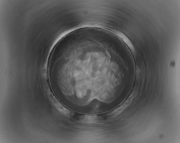 X0000100331052200806051530