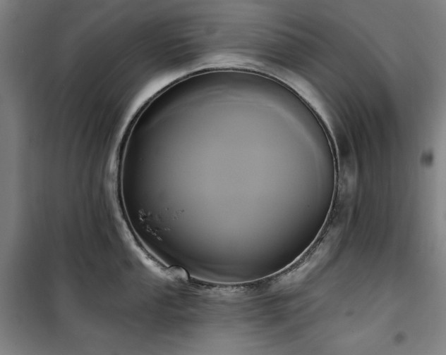 X0000100331053200806051530