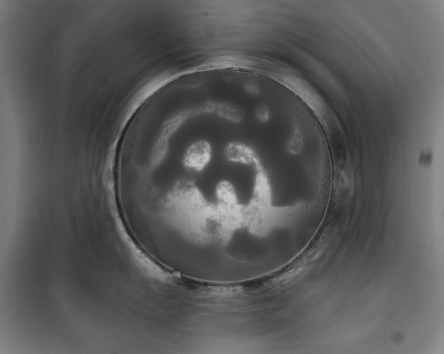 X0000100331055200806051530