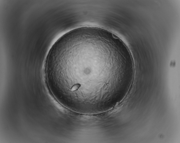 X0000100331056200806051530