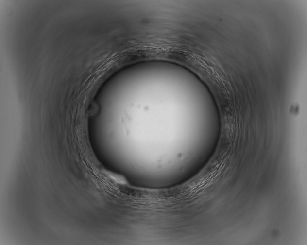 X0000100331057200806051529