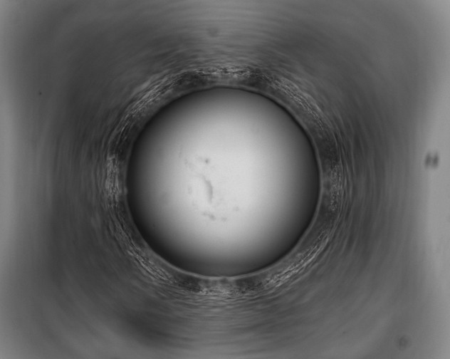 X0000100331058200806051529