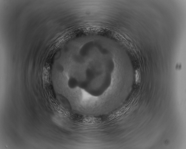 X0000100331059200806051529