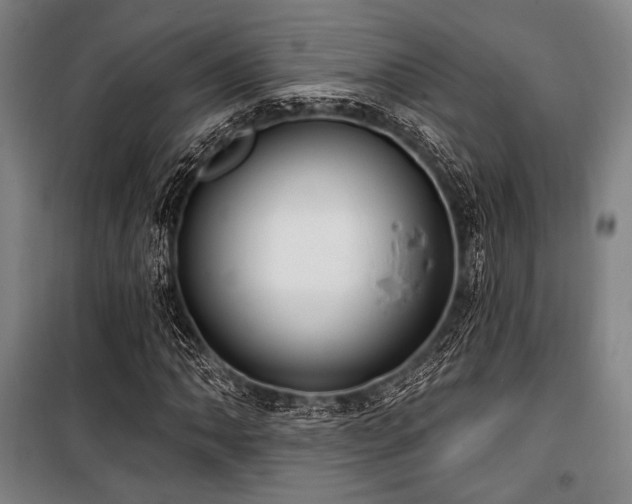 X0000100331062200806051529