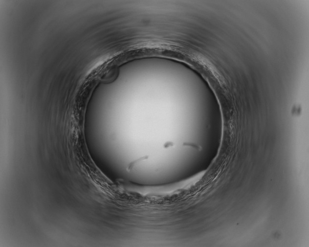X0000100331064200806051529