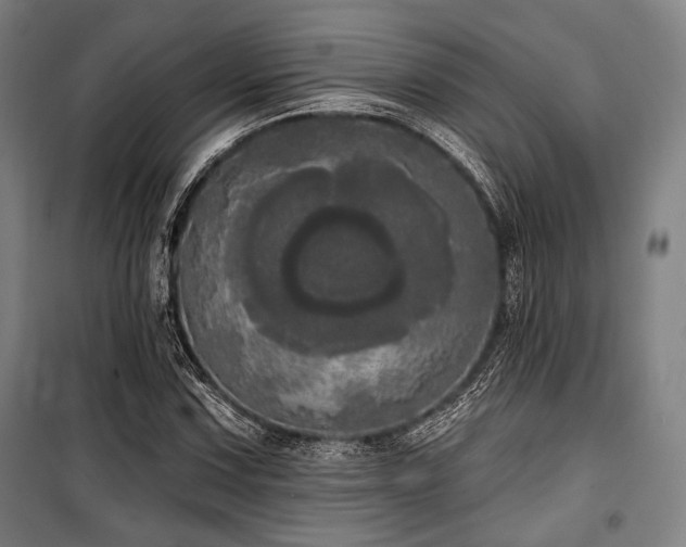 X0000100331067200806051529