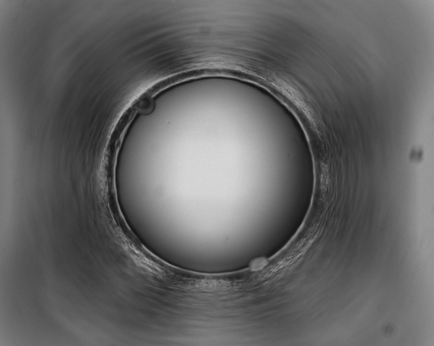 X0000100331068200806051529