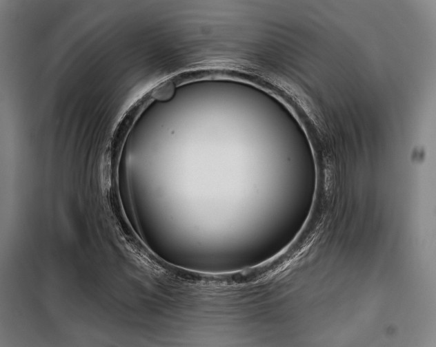 X0000100331069200806051529